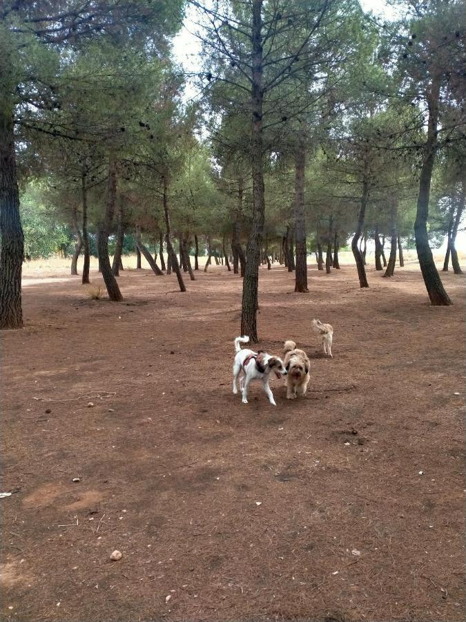 El Refugio