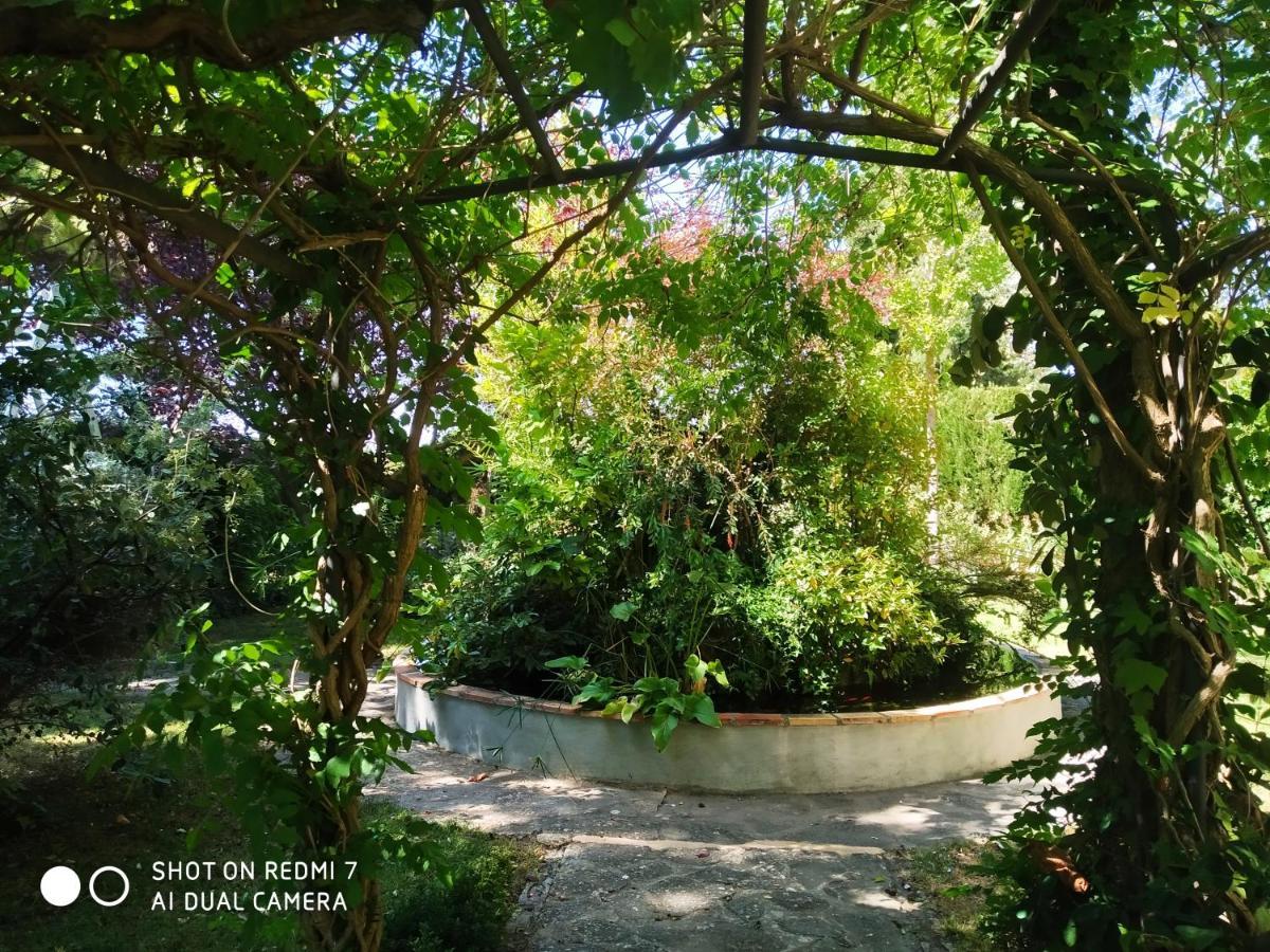 Bed & Breakfast El Sester *