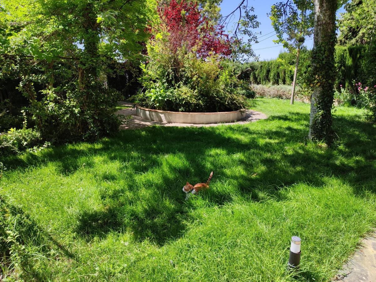 El Sester Bed & Breakfast Torremanzanas