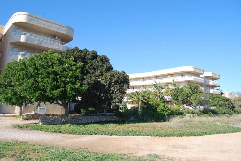 Palmera 2* Pilar de la Horadada