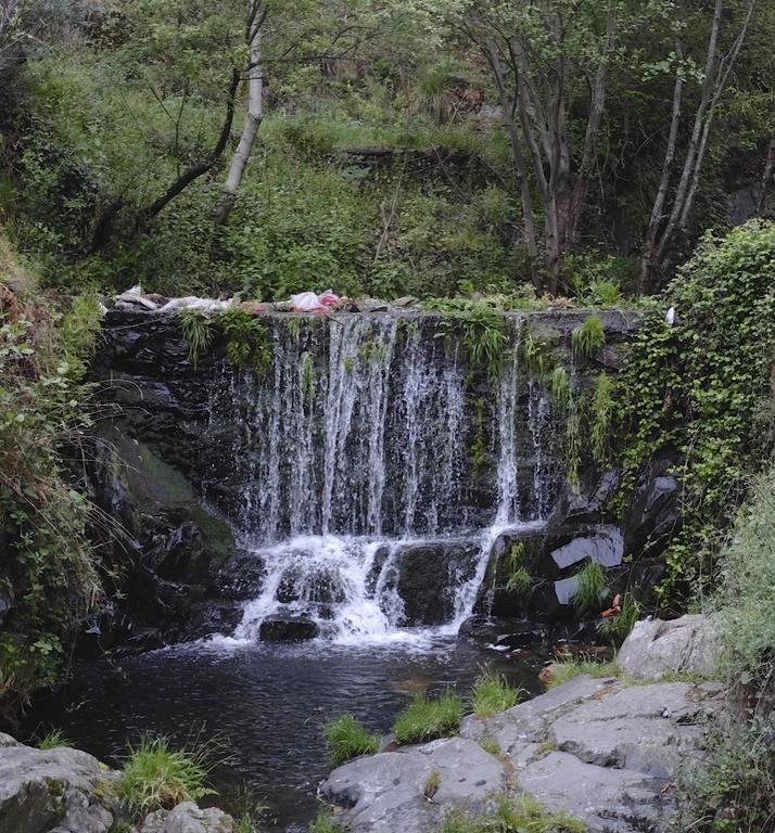 Casa rural La Ortiga *