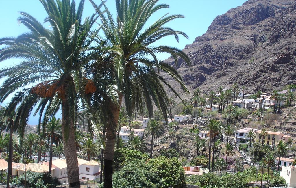 Goyo Gomera Valle Gran Rey