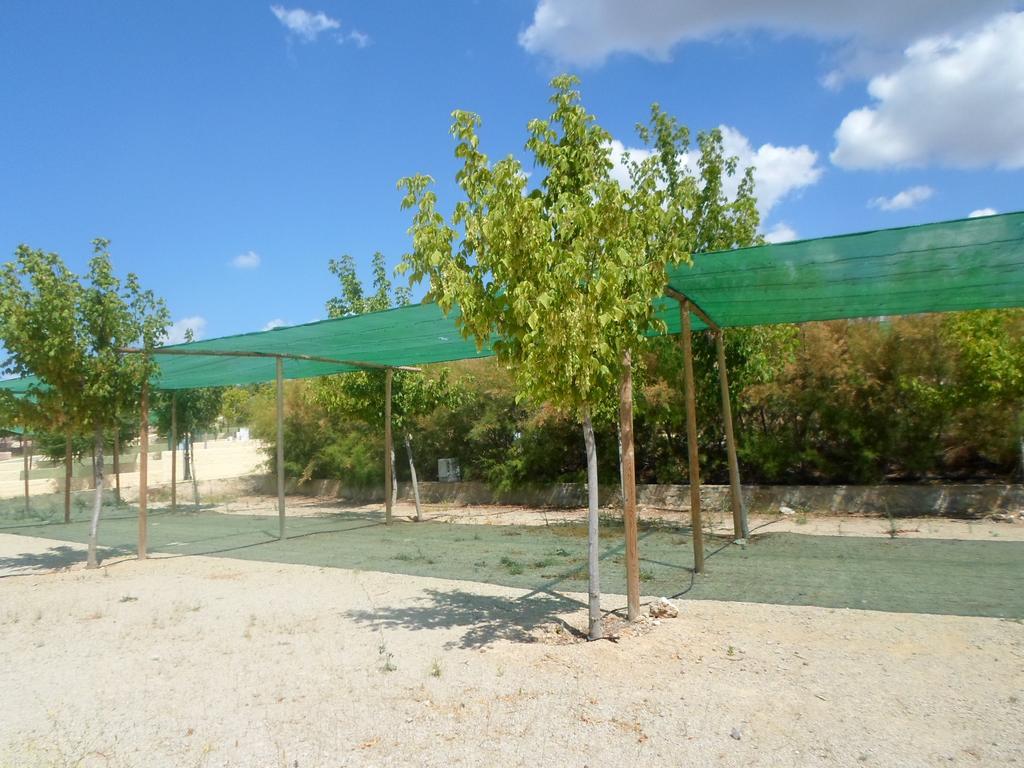 Complejo Pueblo Blanco Camping