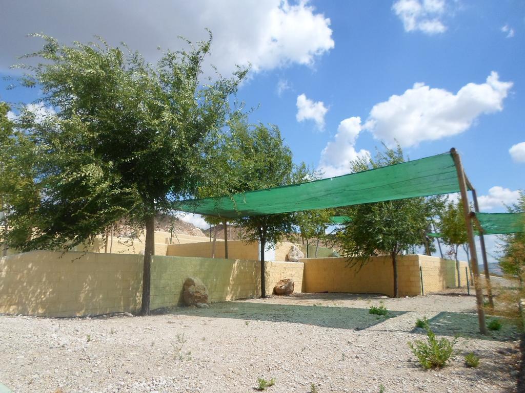 Complejo Pueblo Blanco Olvera