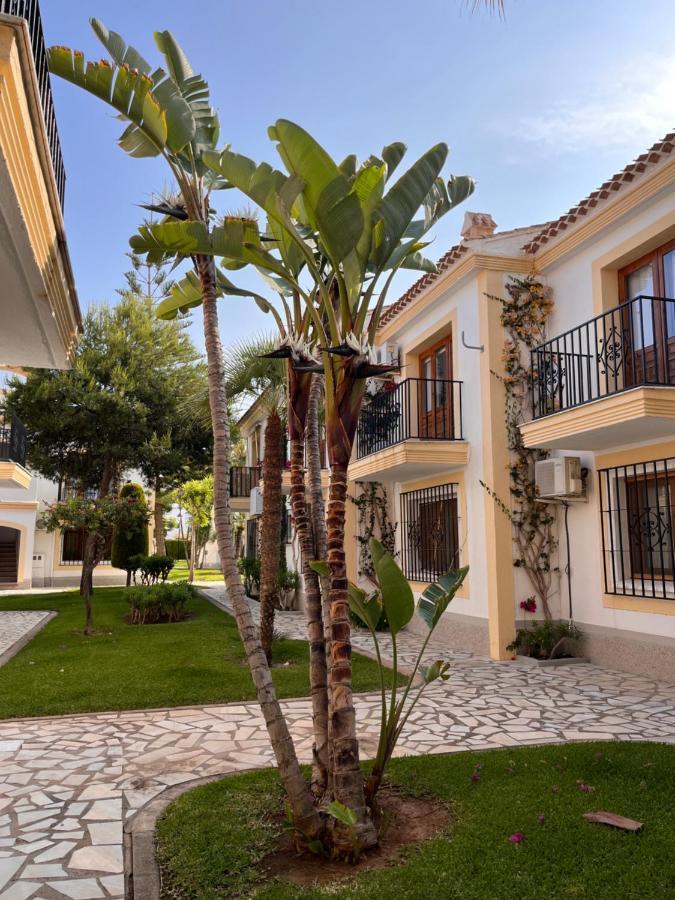 Birds Paradise Vera Coast