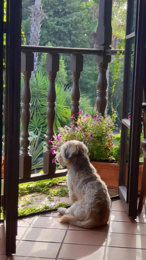 La Casa Del Torreon Bed and breakfast