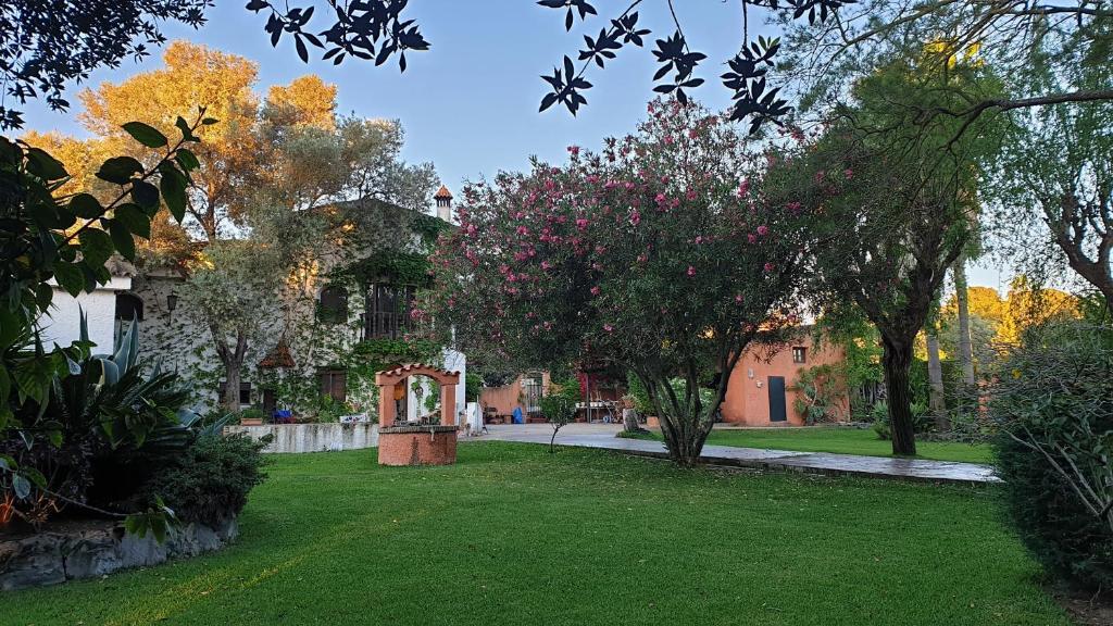 La Casa Del Torreon Bed and breakfast *