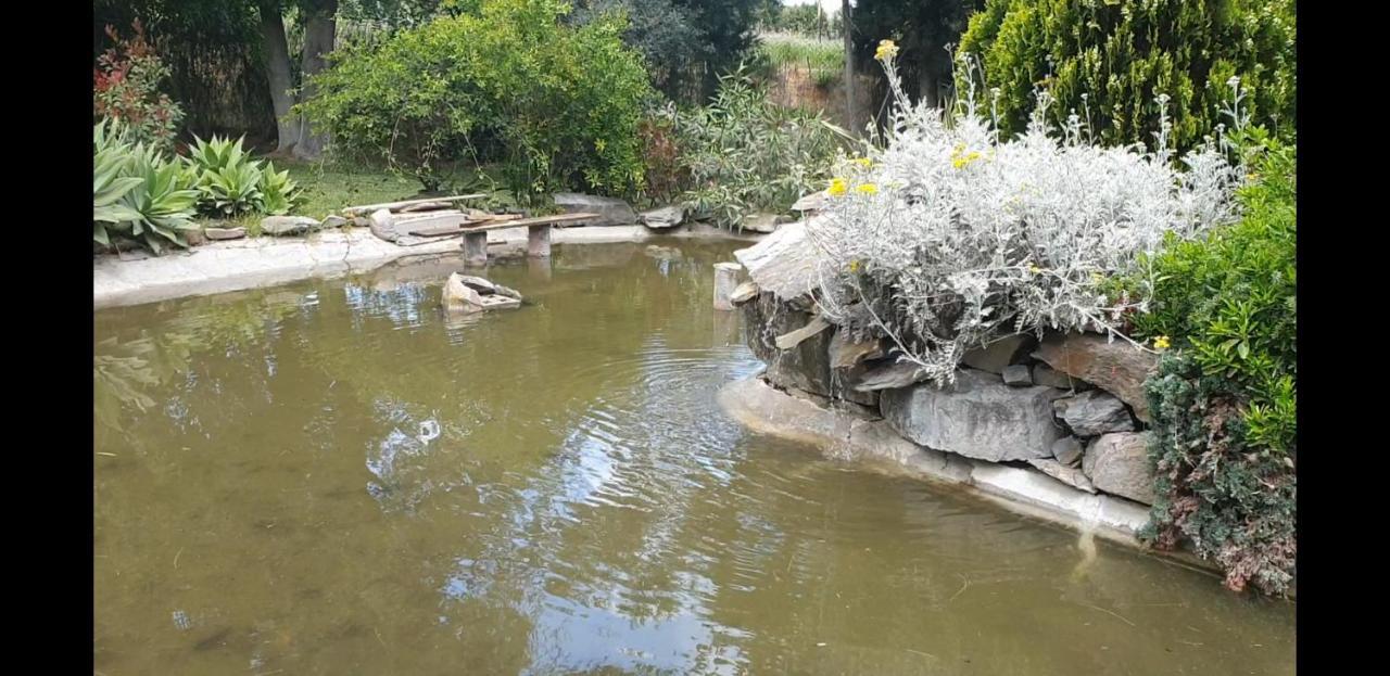La Casa Del Torreon Bed and breakfast *