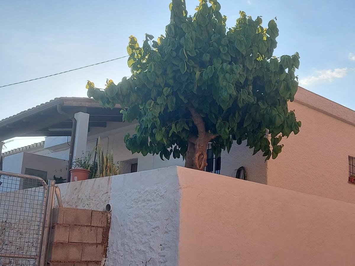 Casa La Morera Holiday home *