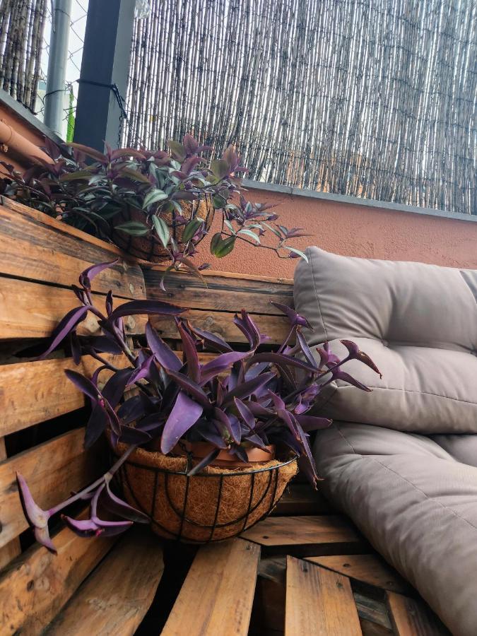 Estudio Con Terraza Campo de lujo *
