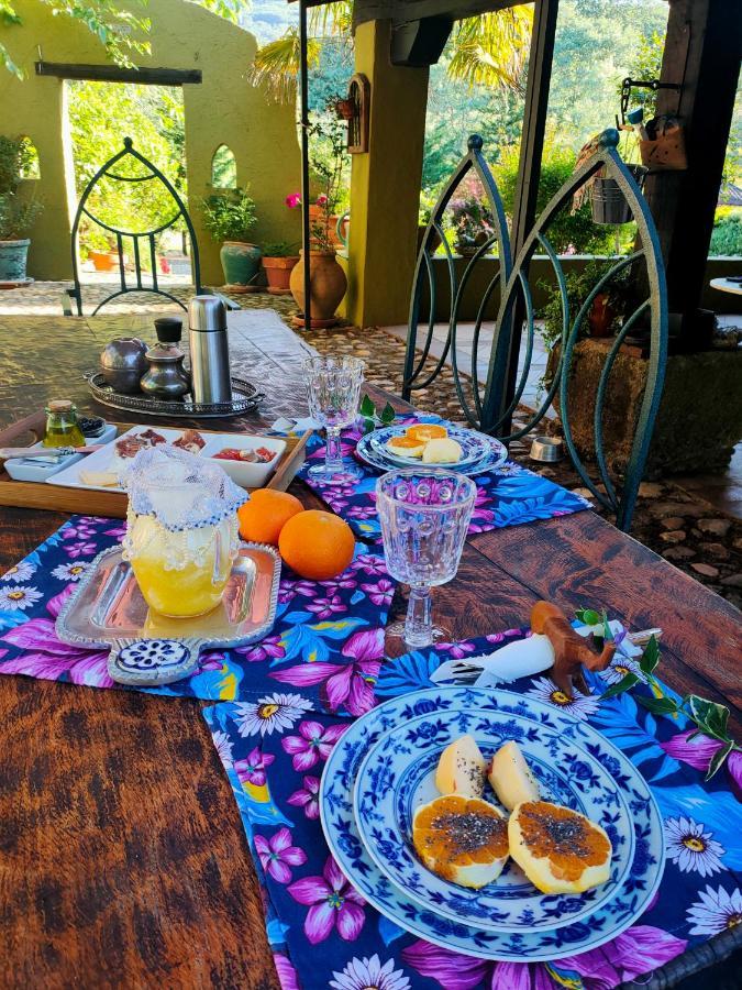 Rural Casa Alfayales-only Adults Bed & Breakfast 3*