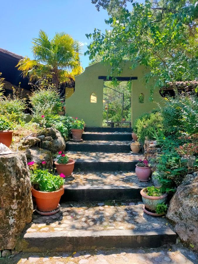 Rural Casa Alfayales-only Adults Bed & Breakfast 3*