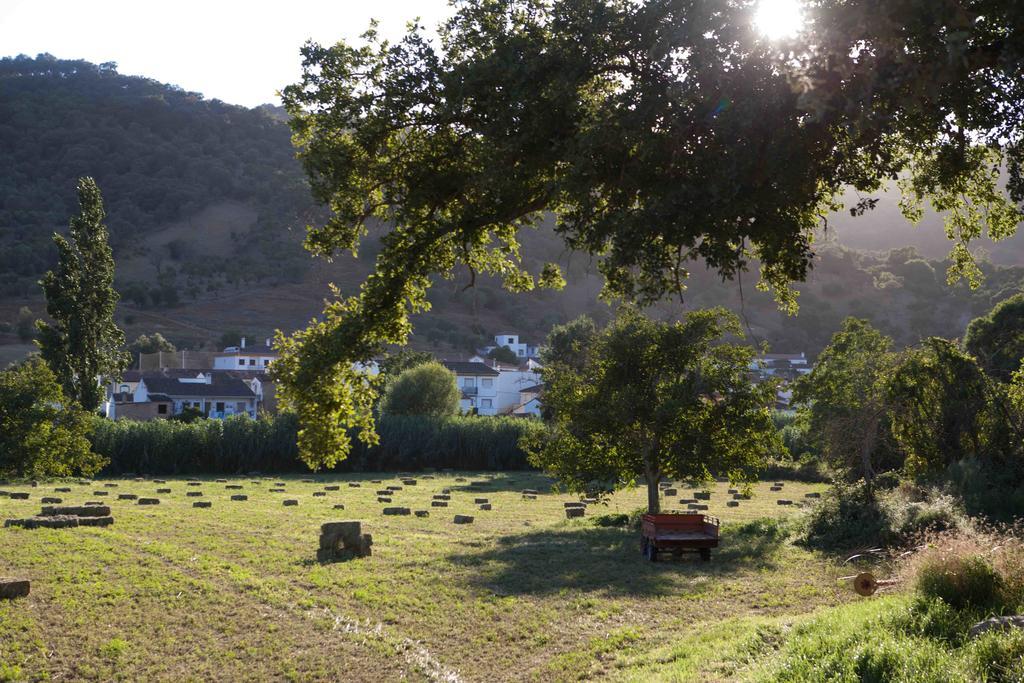 Apartamento La Rana