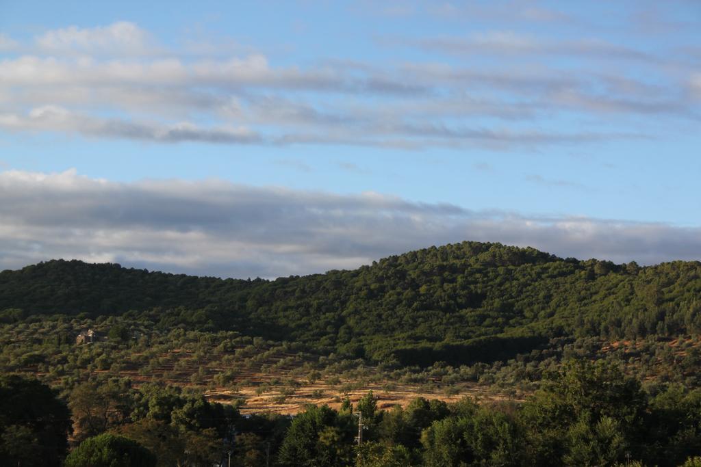 El Palacio De San Benito 4* Cazalla de la Sierra