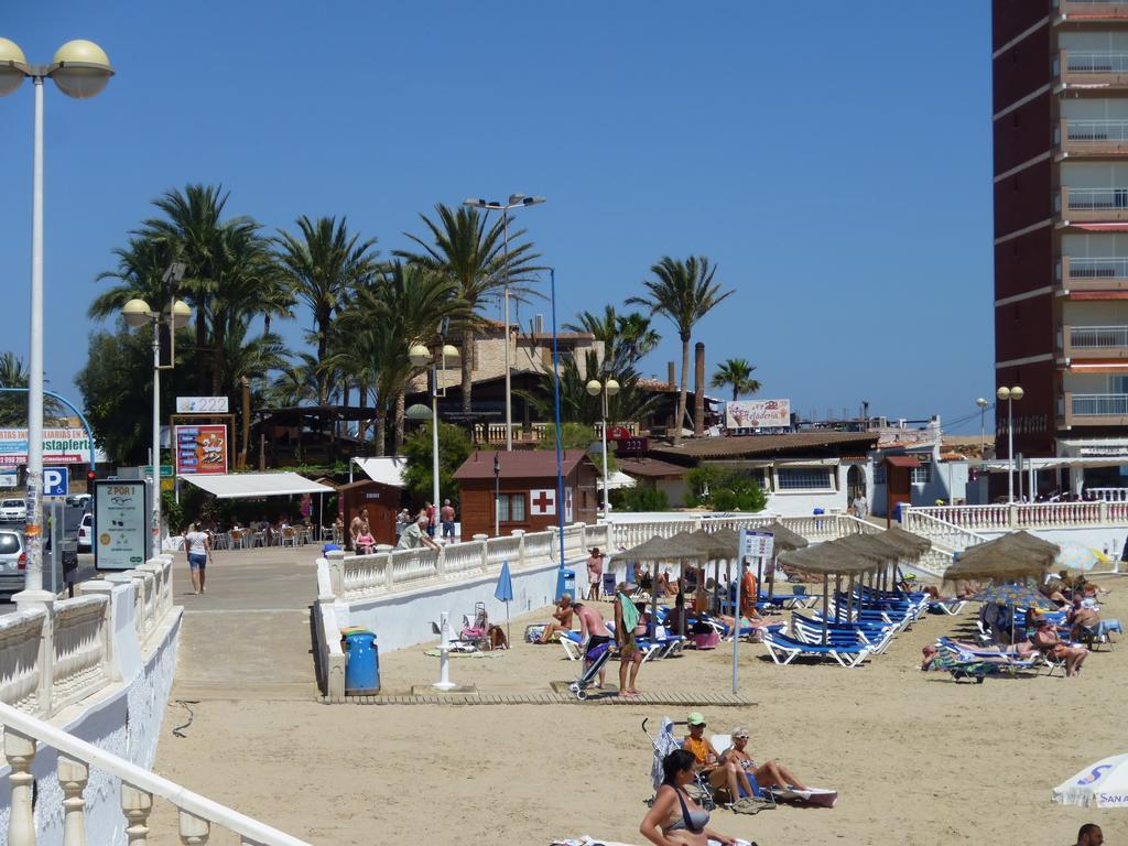 The Cozy Torrevieja