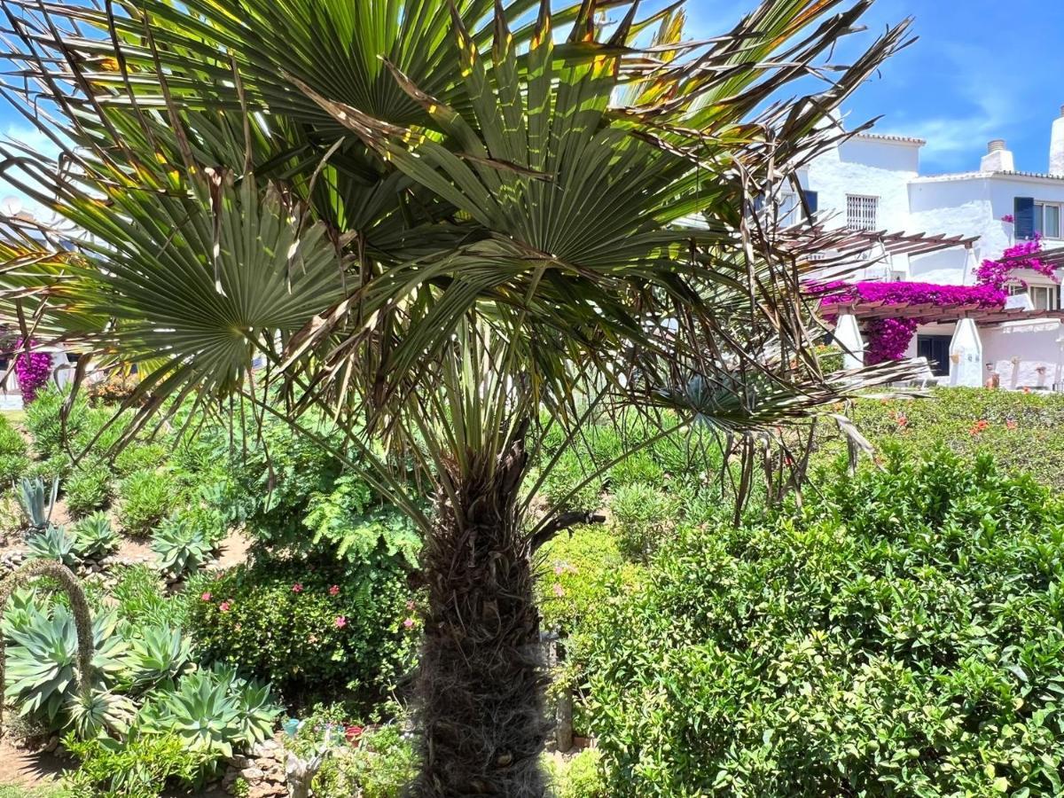 Apartment Newly Renovated 2 Bedroom Beachfront House *