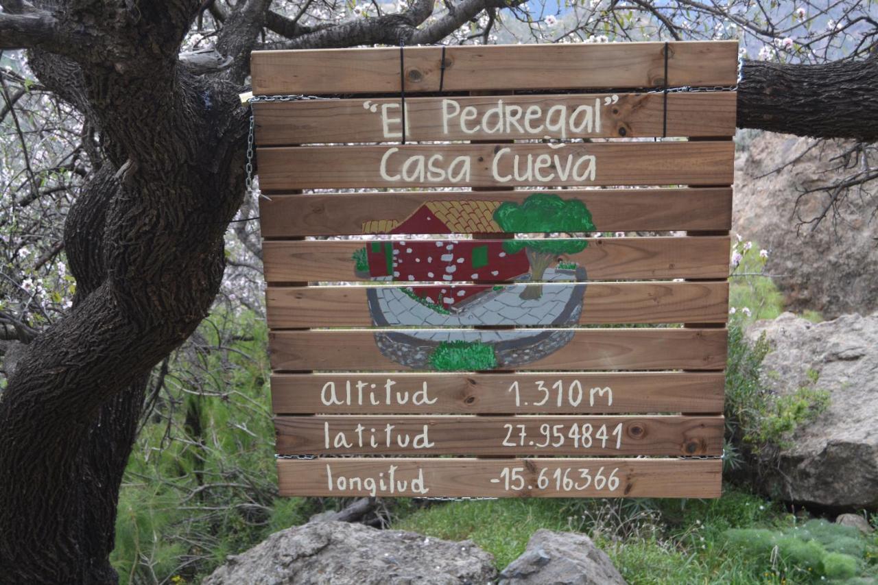 Casa Cueva El Pedregal Tejeda Сasa de vacaciones Tejeda (Gran Canaria)