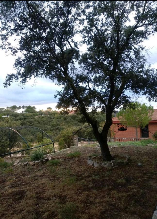 Increible En La Sierra De Altomira Piscina Privada Y Barbacoa Villa *