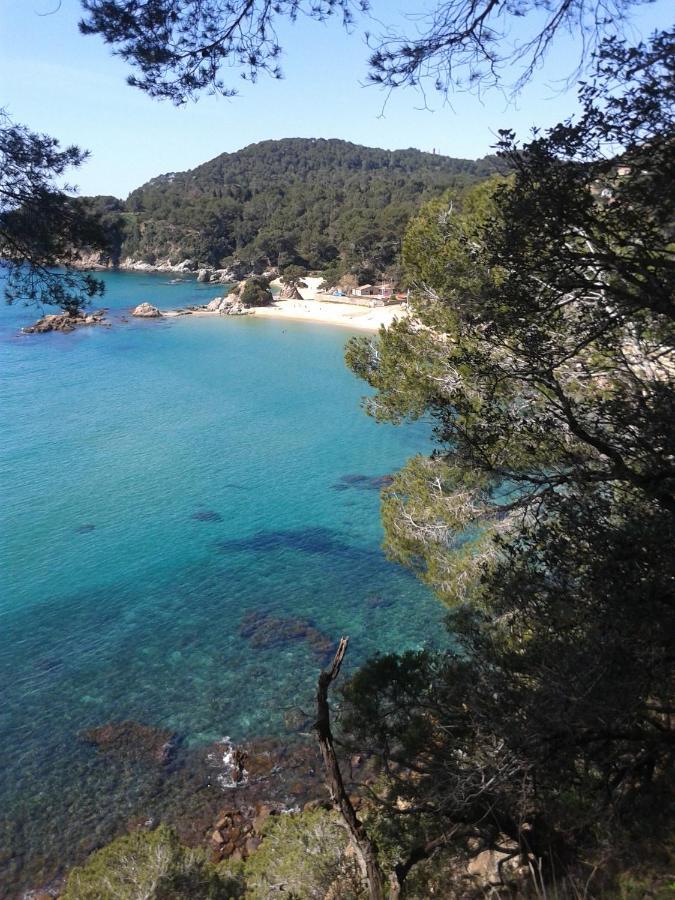 Sa Boadella Beach, - Costa Brava Apartamento Lloret de Mar