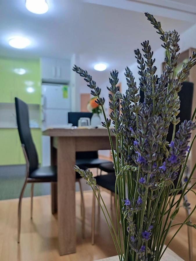 Estrella De Apartamento Teruel