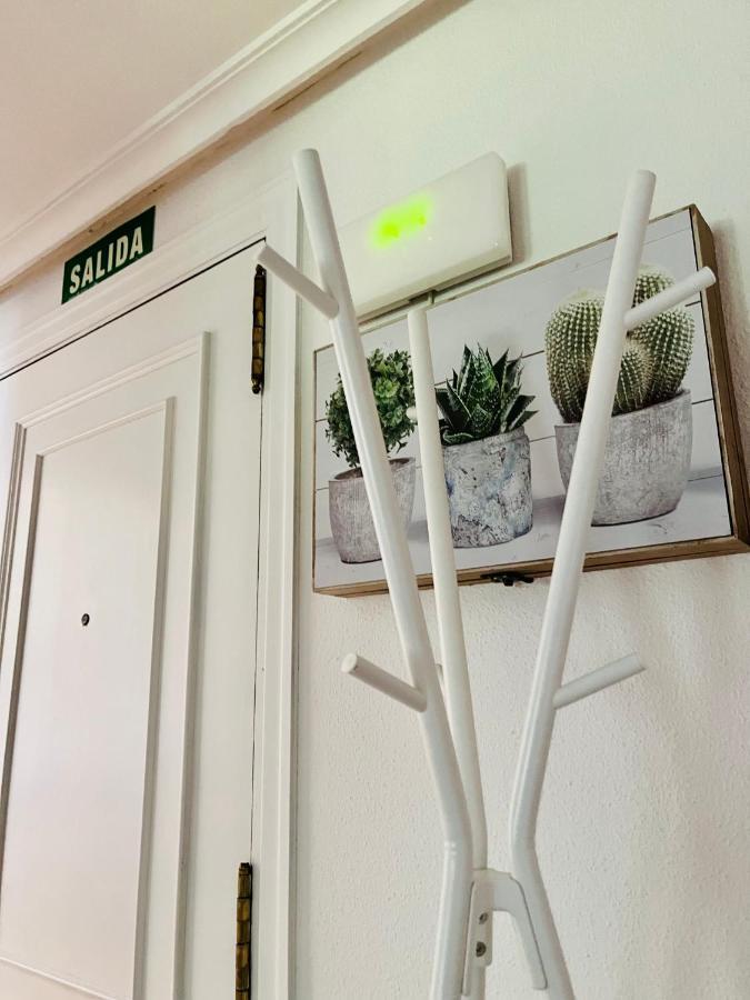 Apartamento Nabucco *