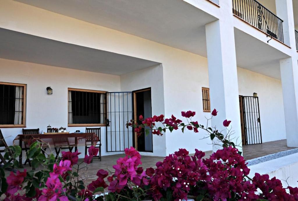 Villa Piltraque - Our Stunning Country To Rent In Andalucia, Spain Colmenar