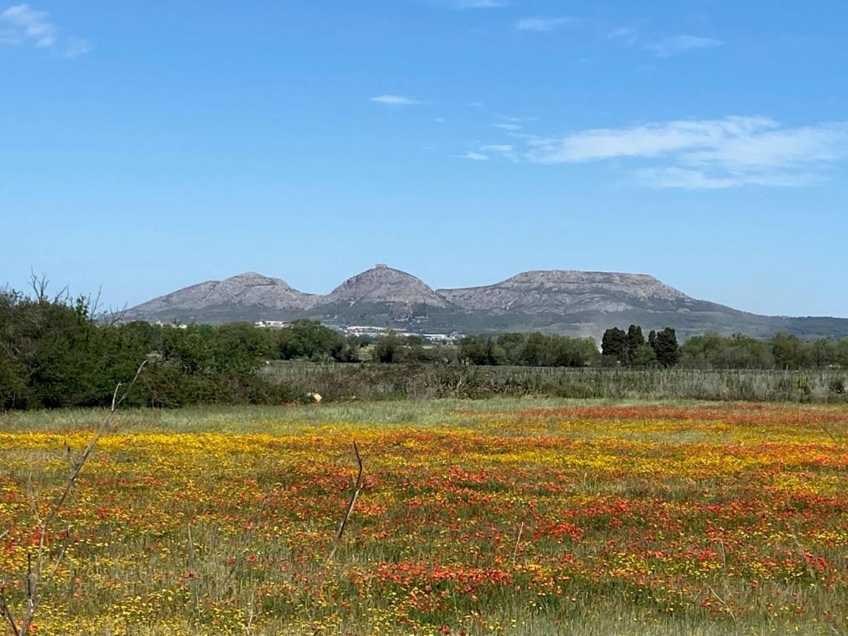 Torre Bertrana By Duquessa Collection Pals
