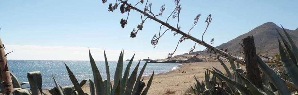 Casa Emilio Guest house Almeria
