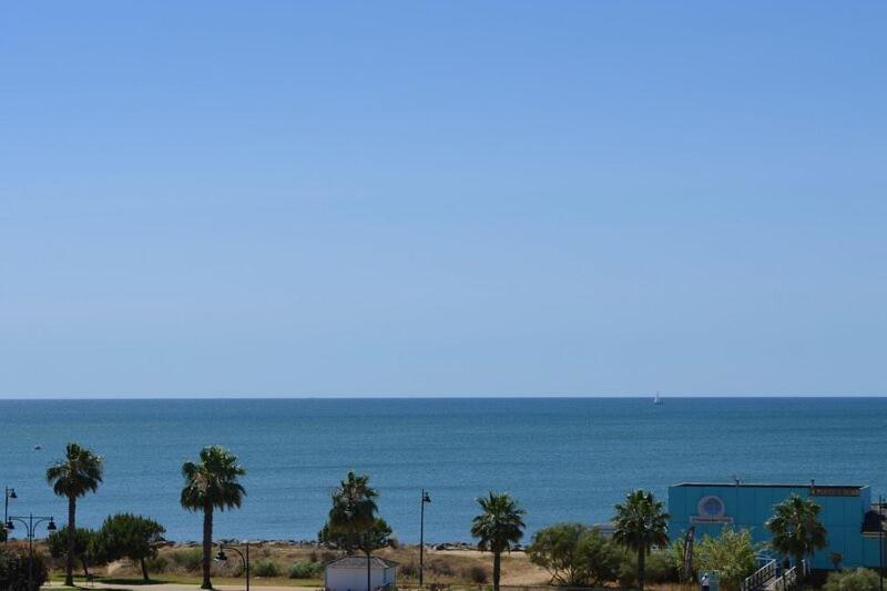 The Paradise