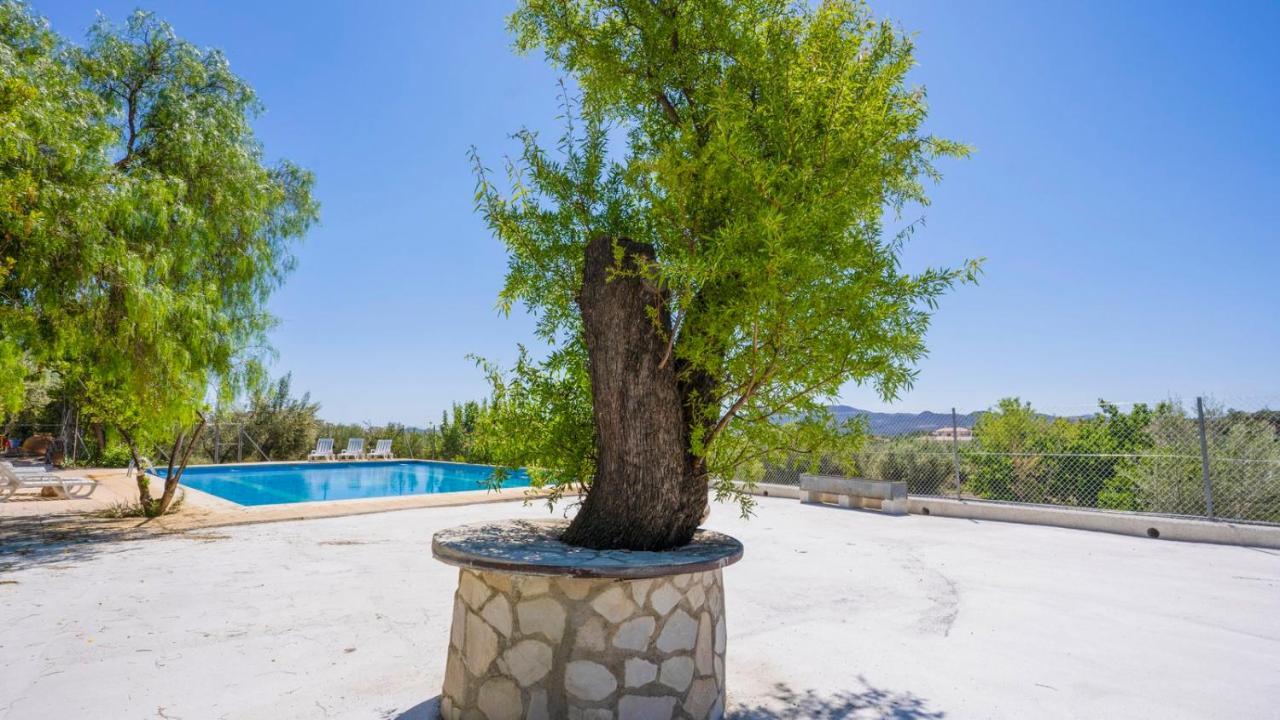 Cortijo El Alamo 1 By Ruralidays Velez Blanco