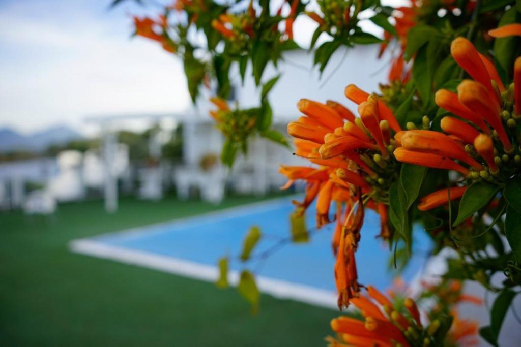 Сasa de vacaciones Hacienda San Francisco Prado Del Rey