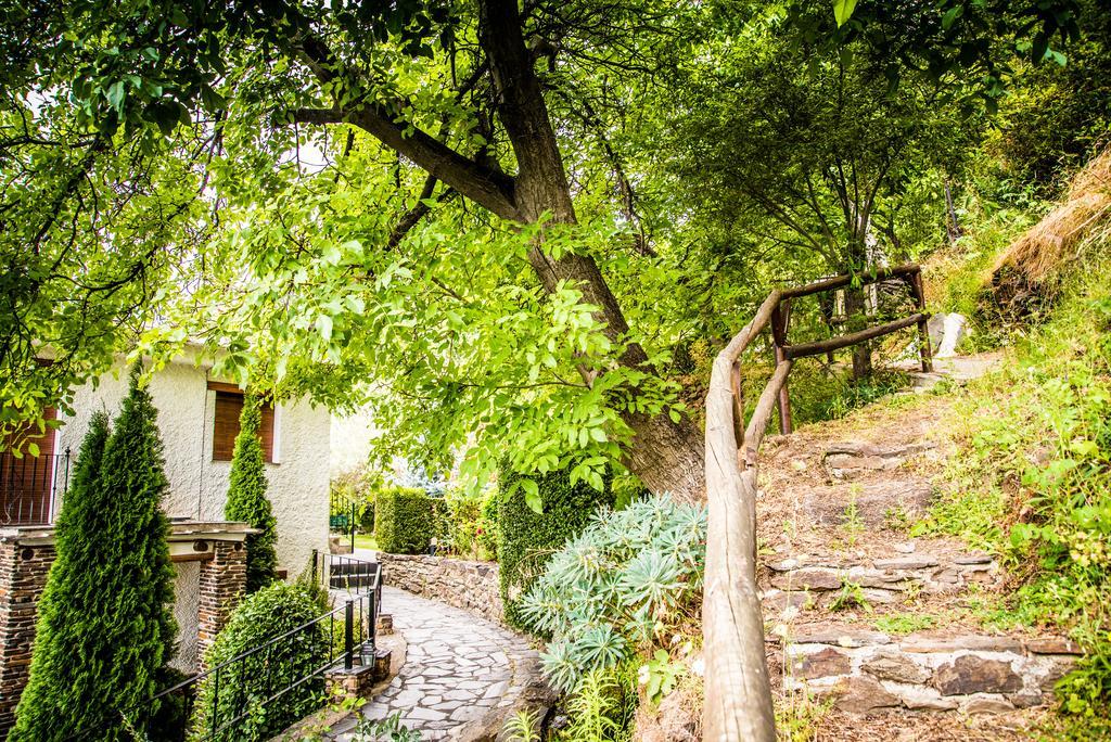 Llanos