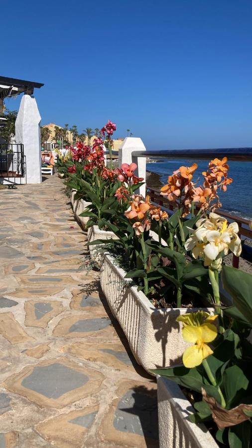 Newly Renovated 2 Bedroom Beachfront House Apartment