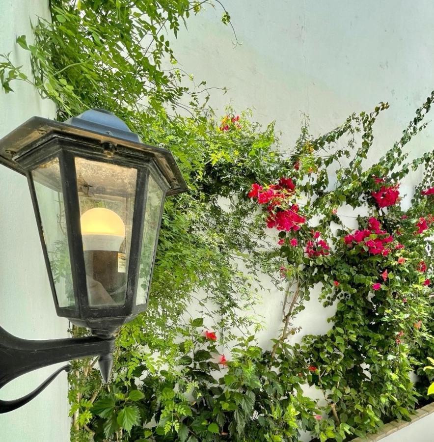 Gatu Premium Palacio Oneto Con Jardin Privado 