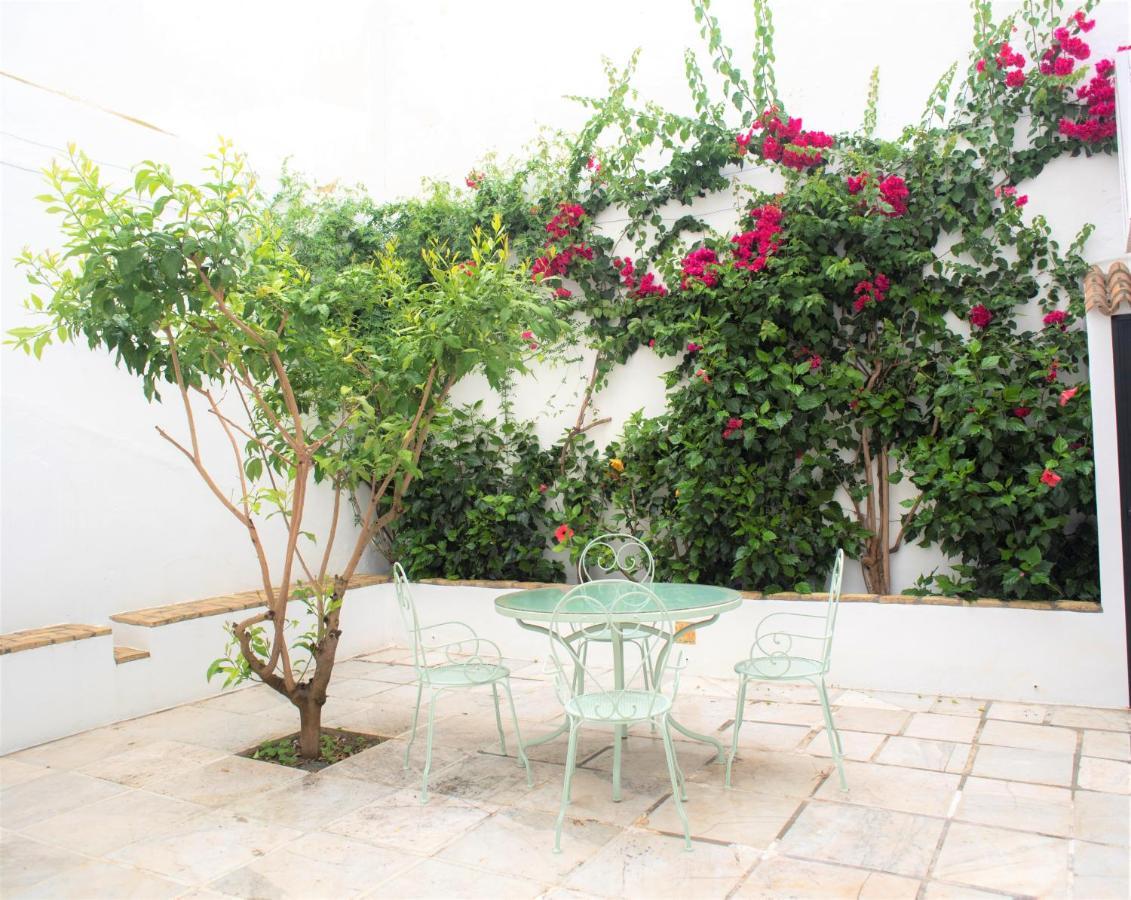 Apartamento Gatu Premium Palacio Oneto Con Jardin Privado 