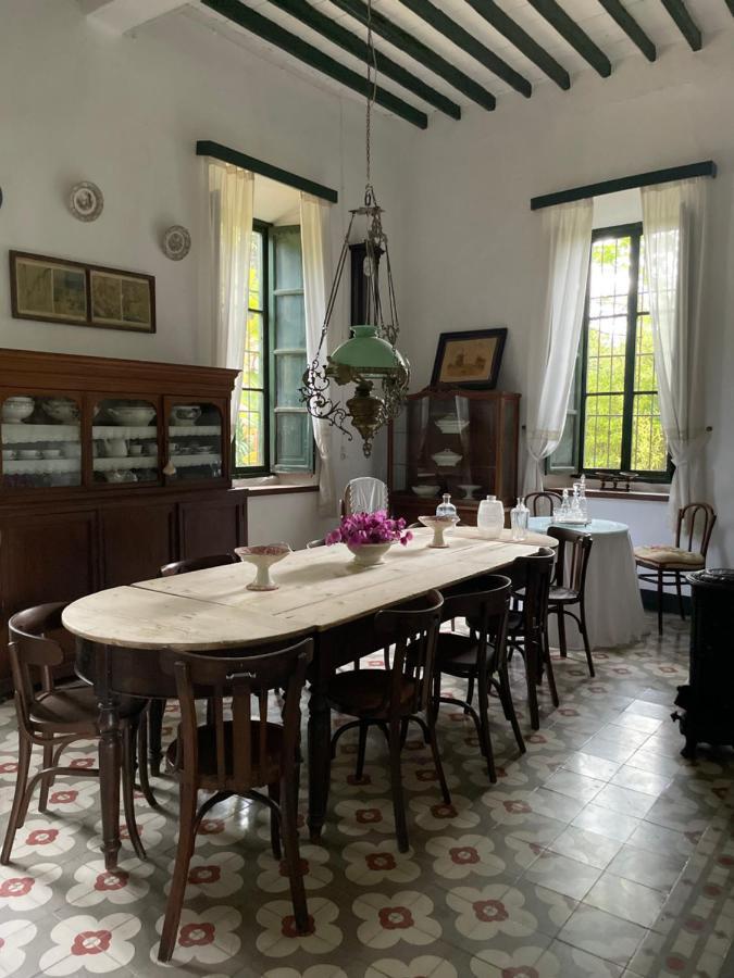 Real Fundicion De Alcora Villa Canjáyar