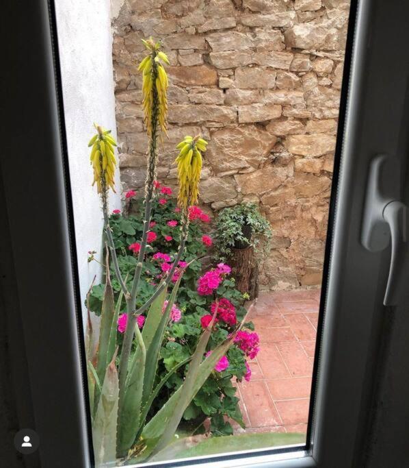 Сasa de vacaciones Casa Andorinhas 1