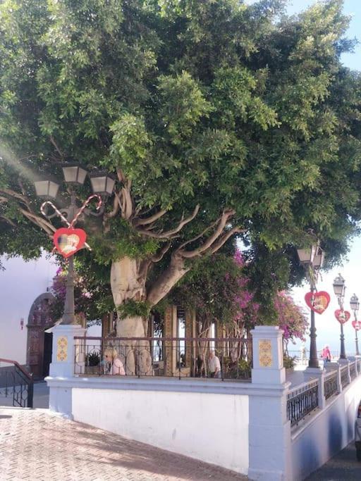 Apartment Charming In Tazacorte