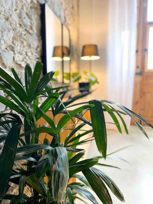 Holiday home Casa Piedra Agaete