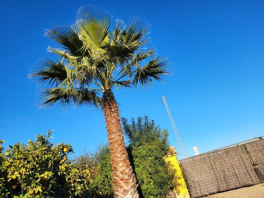 Сasa de vacaciones La Buganvilla, Descanso Entre Olivares *