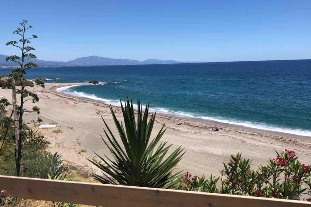 Superbe Avec Piscine A 800m De La Mer Apartamento *