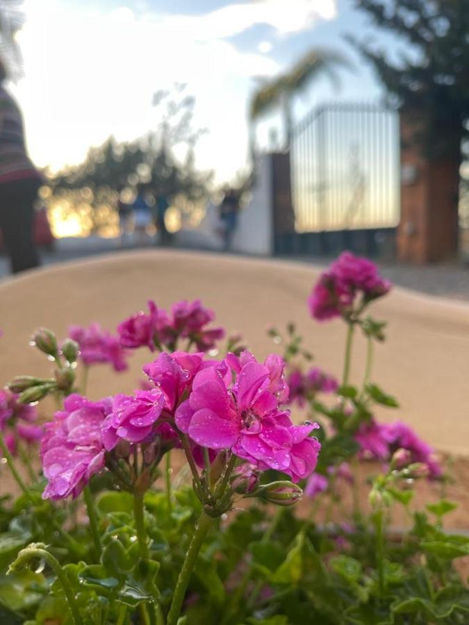 Apartamento El Atardecer - Sol *