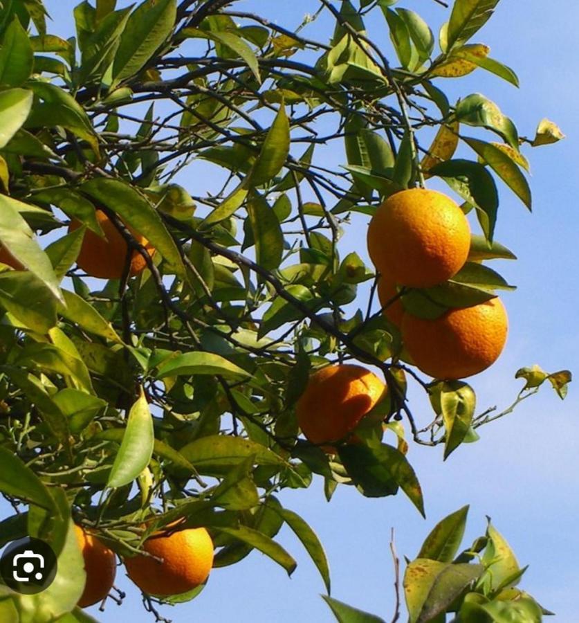 Cortijo El Llano * Almería