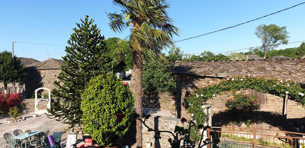 Anamar Lugo