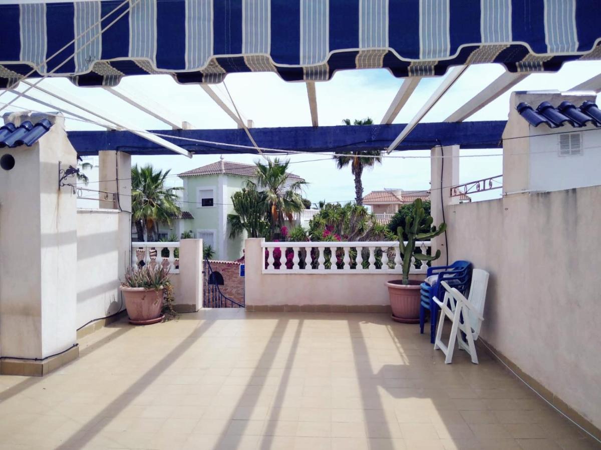 Homely Blue Coast Apartment