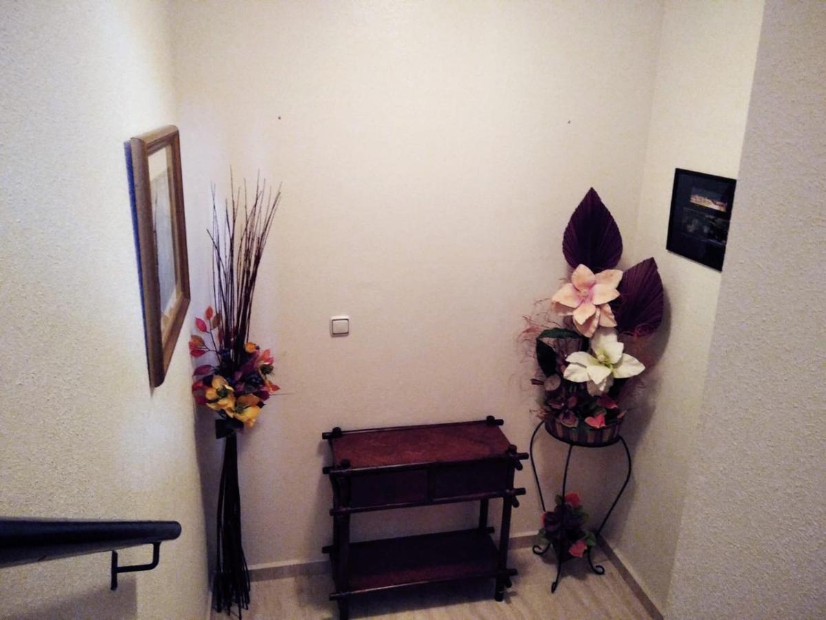 Homely Blue Coast Apartment San Miguel De Salinas