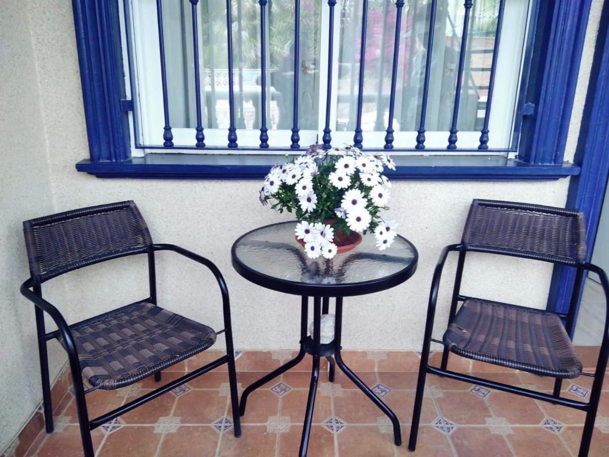 Homely Blue Coast Apartment *