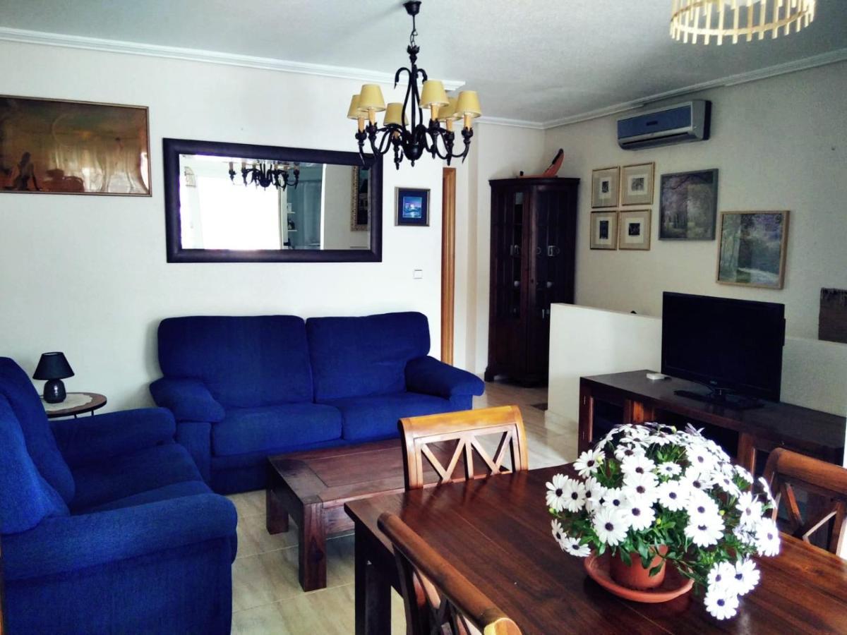 Homely Blue Coast *