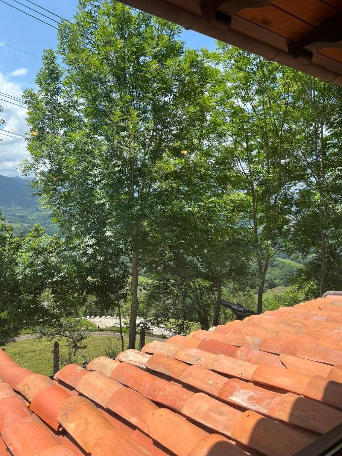 La Del Cerro Alto Apartment Becena