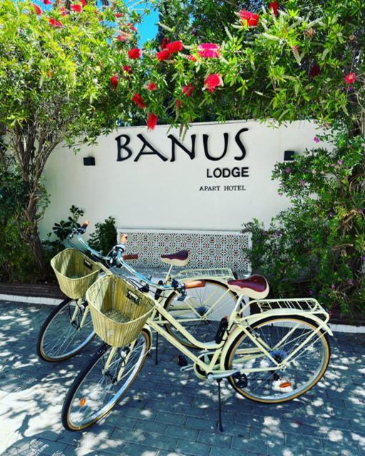 Banus *